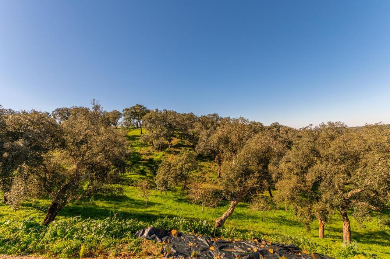 Sierra Melides Alentejo - Sun, Nature&Sea São Francisco da Serra Exterior foto
